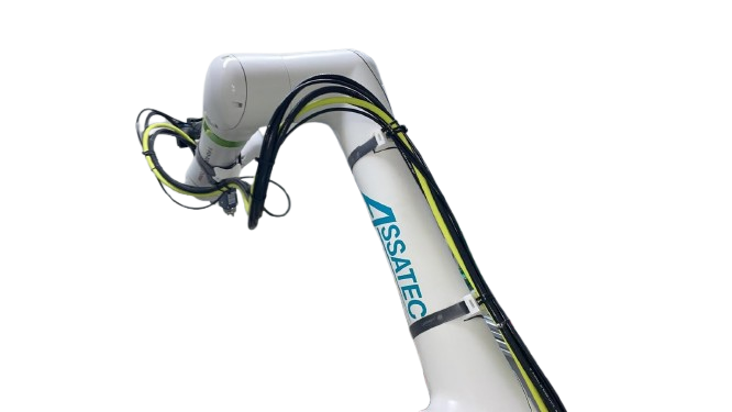 Robots in Healthcare 